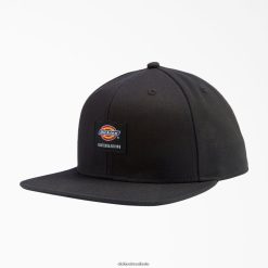 acessórios Dickies boné plano de skate preto (bk) unissex V2FZ462843