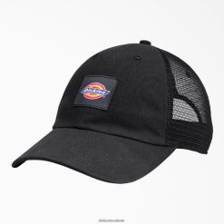 acessórios Dickies chapéu de caminhoneiro de lona preto (bk) unissex V2FZ462850