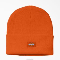 acessórios Dickies gorro de malha com punho laranja neon (zna) unissex V2FZ461504