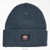 acessórios Dickies gorro de skate força aérea azul (af) unissex V2FZ462820
