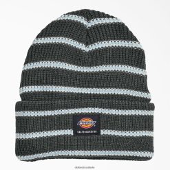 acessórios Dickies gorro de skate mini tarja de carvão (csm) unissex V2FZ462824