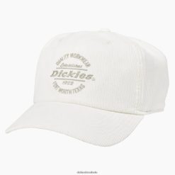 acessórios Dickies gorro de veludo cotelê bege natural (nt) unissex V2FZ462766