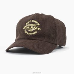 acessórios Dickies gorro de veludo cotelê castanho chocolate (cb) unissex V2FZ462764