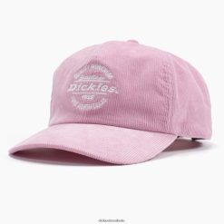 acessórios Dickies gorro de veludo cotelê dedaleira (f2g) unissex V2FZ462765