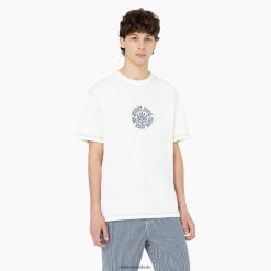 vestuário Dickies beavertown camiseta manga curta nuvem (cl9) homens V2FZ46873