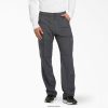 vestuário Dickies calça cargo dynamix cinza estanho (banco) homens V2FZ461280