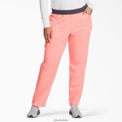 vestuário Dickies calça de esfoliação de perna cônica de equilíbrio flamingo rosa (fla) mulheres V2FZ462549