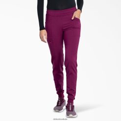 vestuário Dickies calça jogger balance vinho (ganhar) mulheres V2FZ462489