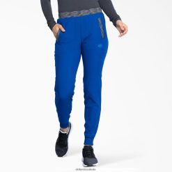 vestuário Dickies calça jogger dynamix azul real (rb) mulheres V2FZ462590