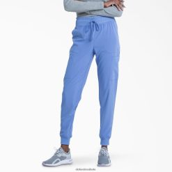 vestuário Dickies calça jogger eds essentials teto azul (cbl) mulheres V2FZ462437