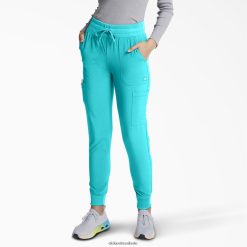 vestuário Dickies calça jogger eds essentials verde-azulado (dtl) mulheres V2FZ462438