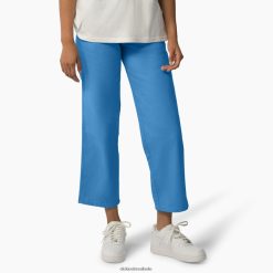 vestuário Dickies calças de lona de pato regular mulheres V2FZ461766