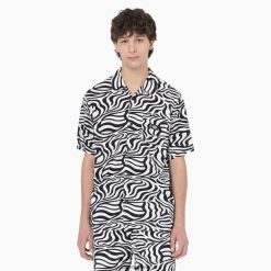 vestuário Dickies camisa de manga curta com estampa de zebra preto/branco (bkwh) homens V2FZ46692