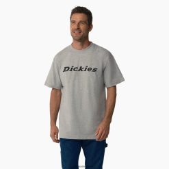 vestuário Dickies camiseta estampada manga curta cinza urze (hg) homens V2FZ46813