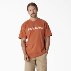 vestuário Dickies camiseta estampada manga curta cobre (co) homens V2FZ46811