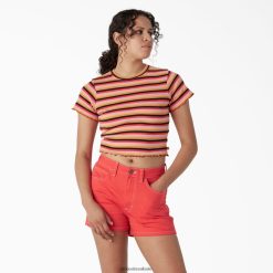 vestuário Dickies camiseta infantil listrada cropped faixa exploradora laranja (eixos) mulheres V2FZ462075