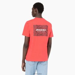 vestuário Dickies camiseta manga curta lesburg agridoce (bw2) homens V2FZ46877