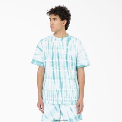 vestuário Dickies camiseta manga curta westfir céu azul (su9) homens V2FZ46590