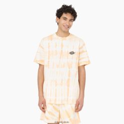 vestuário Dickies camiseta manga curta westfir impala (ma2) homens V2FZ46589