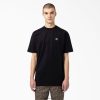 vestuário Dickies camiseta skate mount vista preto (bkx) homens V2FZ46929