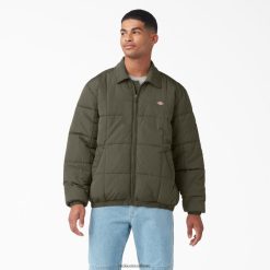 vestuário Dickies jaqueta puffer eisenhower verde militar (ml) homens V2FZ461069