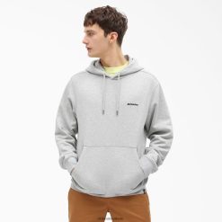 vestuário Dickies moletom com capuz de uniontown regular homens V2FZ461090