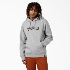 vestuário Dickies moletom com logo union springs regular homens V2FZ461151