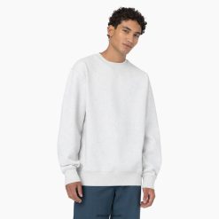 vestuário Dickies moletom de verão cinza urze (hg) homens V2FZ46974