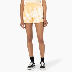 vestuário Dickies shorts westfir 3" impala (ma2) mulheres V2FZ462268