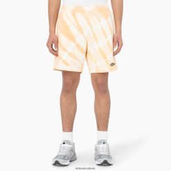 vestuário Dickies shorts westfir 8" impala (ma2) homens V2FZ46480