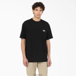 vestuário Dickies Summerdale camiseta manga curta preto (bkx) homens V2FZ46579