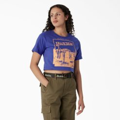 vestuário Dickies t-shirt cropped gráfica desert céu de cetim (sk2) mulheres V2FZ462133