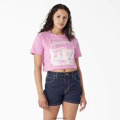 vestuário Dickies t-shirt cropped gráfica desert rosa selvagem (wr2) mulheres V2FZ462134