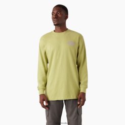 vestuário Dickies t-shirt de manga comprida com logótipo pesado samambaia urze (f2h) homens V2FZ46869